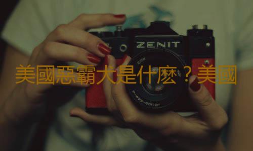 美國惡霸犬是什麽？美國惡霸犬怎麽養？