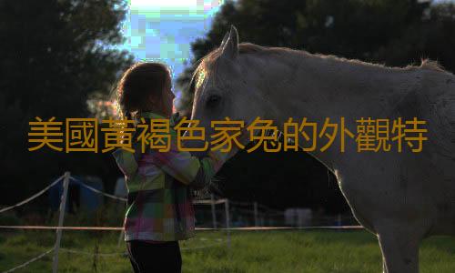 美國黃褐色家兔的外觀特征