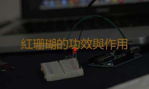 紅珊瑚的功效與作用