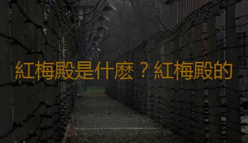 紅梅殿是什麽？紅梅殿的養殖方法
