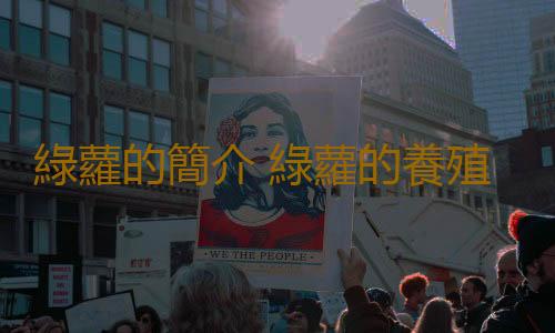 綠蘿的簡介 綠蘿的養殖方法