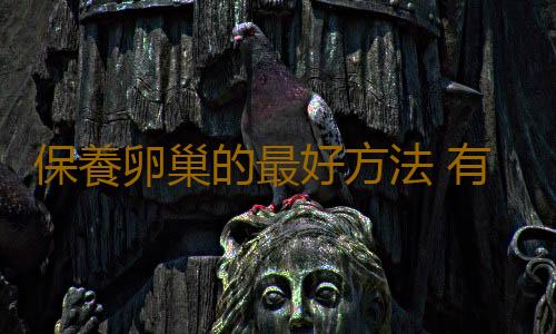 保養卵巢的最好方法 有哪些方法