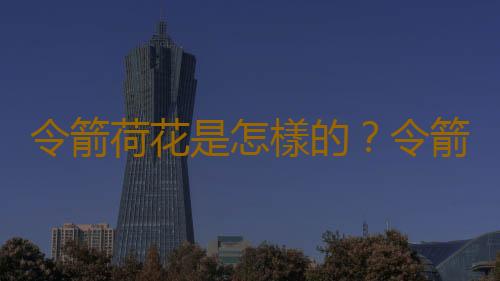 令箭荷花是怎樣的？令箭荷花對環境的影響