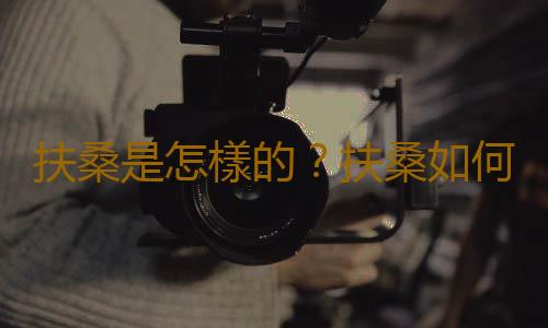 扶桑是怎樣的？扶桑如何養護？