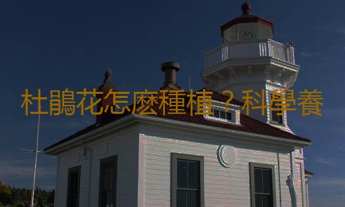 杜鵑花怎麽種植？科學養殖杜鵑花的方法