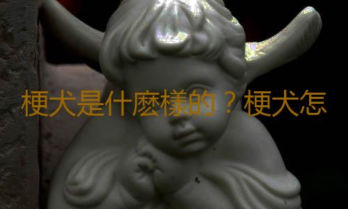 梗犬是什麽樣的？梗犬怎麽養？