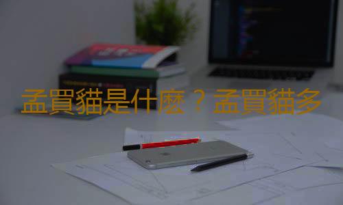孟買貓是什麽？孟買貓多少錢一隻？