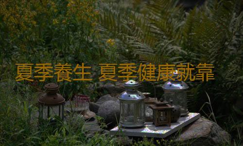 夏季養生 夏季健康就靠它們了