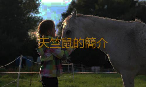 天竺鼠的簡介