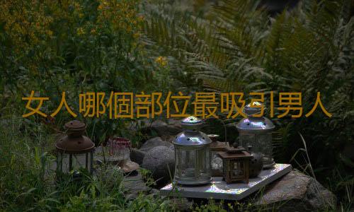 女人哪個部位最吸引男人