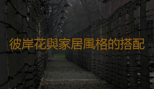 彼岸花與家居風格的搭配