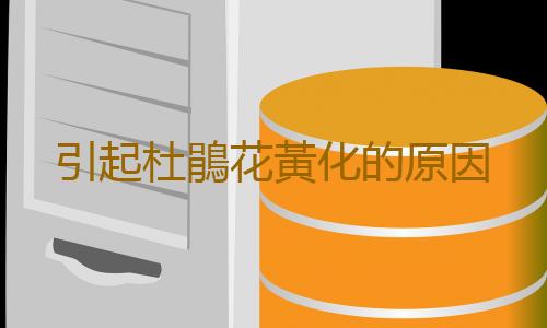 引起杜鵑花黃化的原因