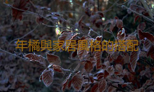 年橘與家居風格的搭配