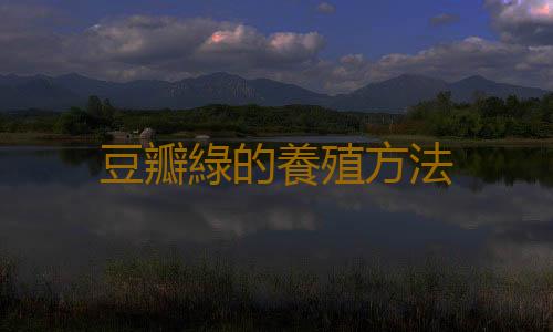豆瓣綠的養殖方法