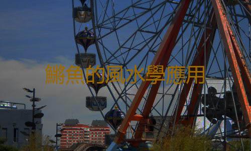 鱂魚的風水學應用
